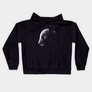 Shadow Panda Kids Hoodie